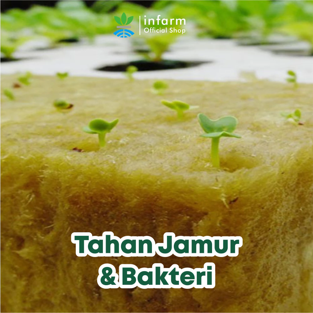 INFARM - Rockwool Media Tanam Premium untuk Semai Benih 24 Semai — foto 2