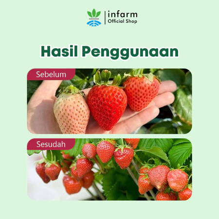 INFARM - Nutrisi Tanaman AB Mix Strawberry 100 Liter — foto 3